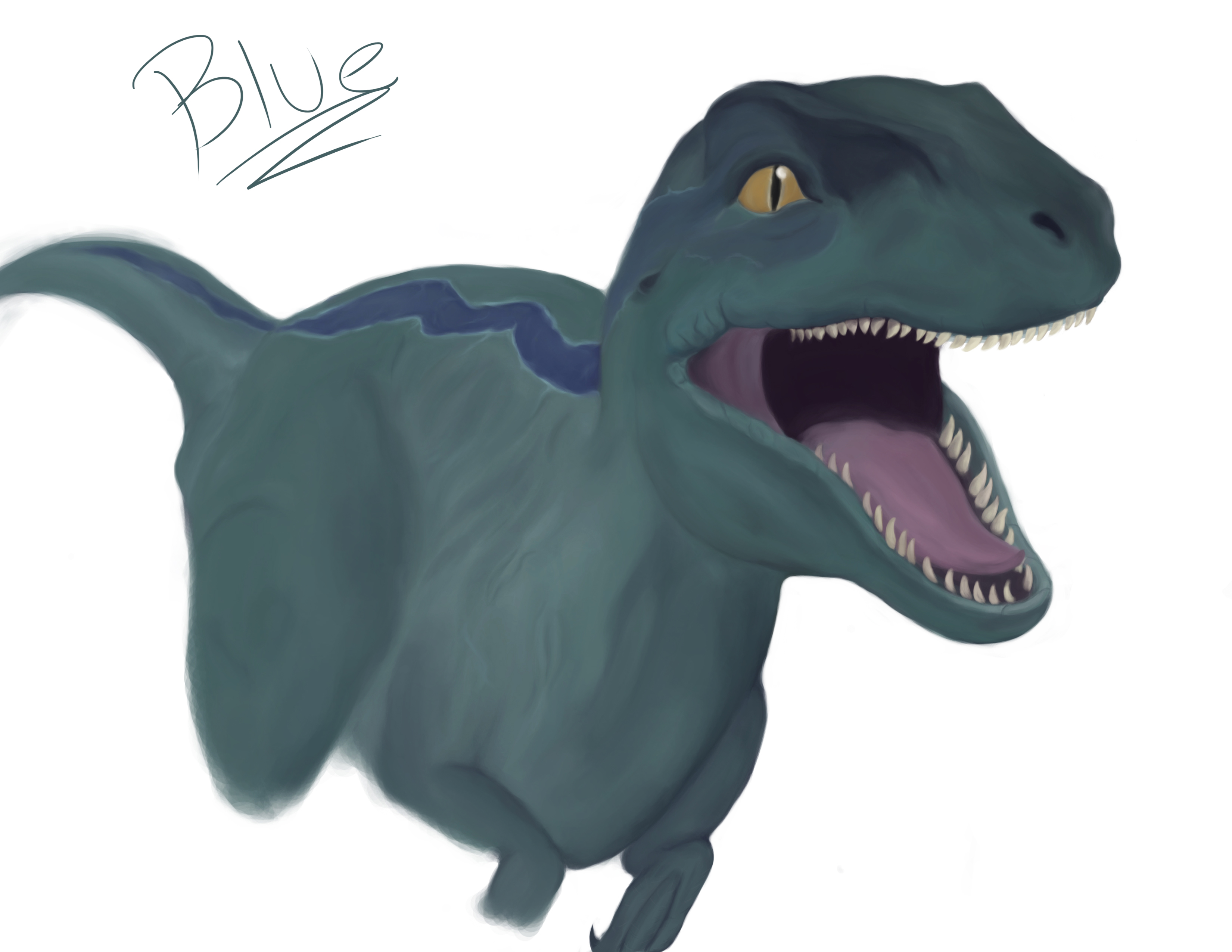 Cute Raptor Blue Jurassic world -Raptor blue by Noxoccultum on DeviantArt