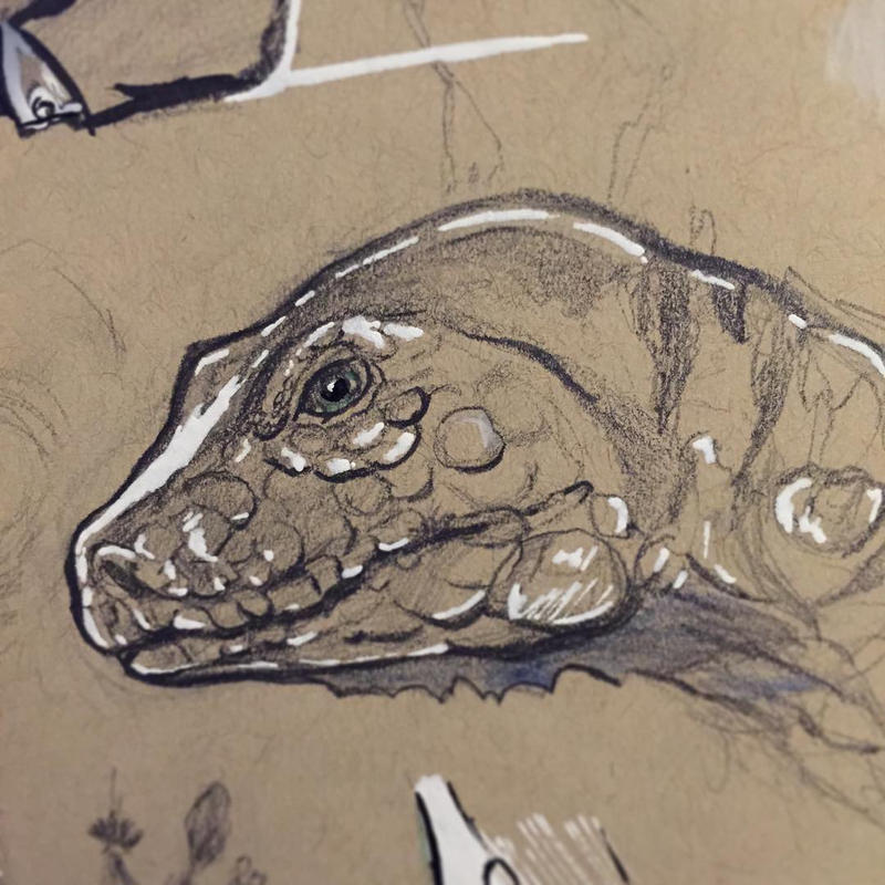Raptor sketch by gmcube on DeviantArt