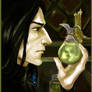 The Potion Master