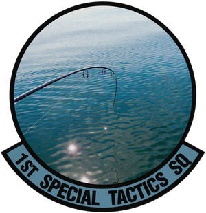1st STS Badge