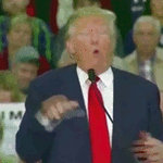 President Trump by geiselkirchen