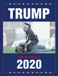 TRUMP 2020 by geiselkirchen