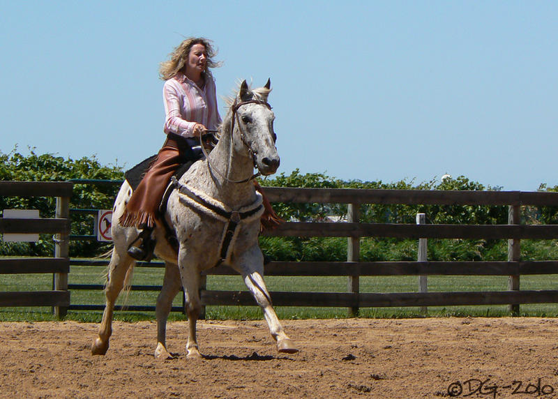 Local Show - 19