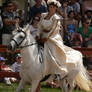 Unicorn - 2