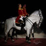 WF Lipizzaners - 59