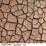 Cracked Dirt Texture - 1