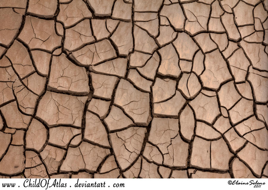 Cracked Dirt Texture - 1