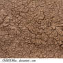 Cracked Dirt Texture - 2