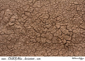 Cracked Dirt Texture - 2