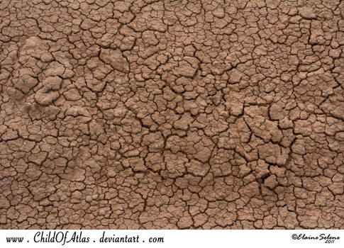 Cracked Dirt Texture - 2
