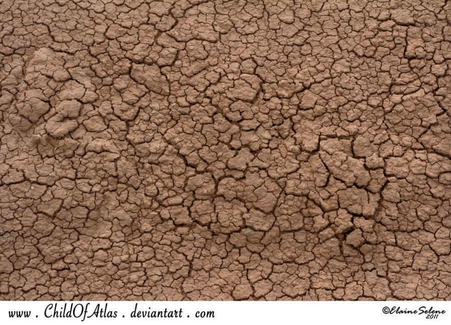Cracked Dirt Texture - 2