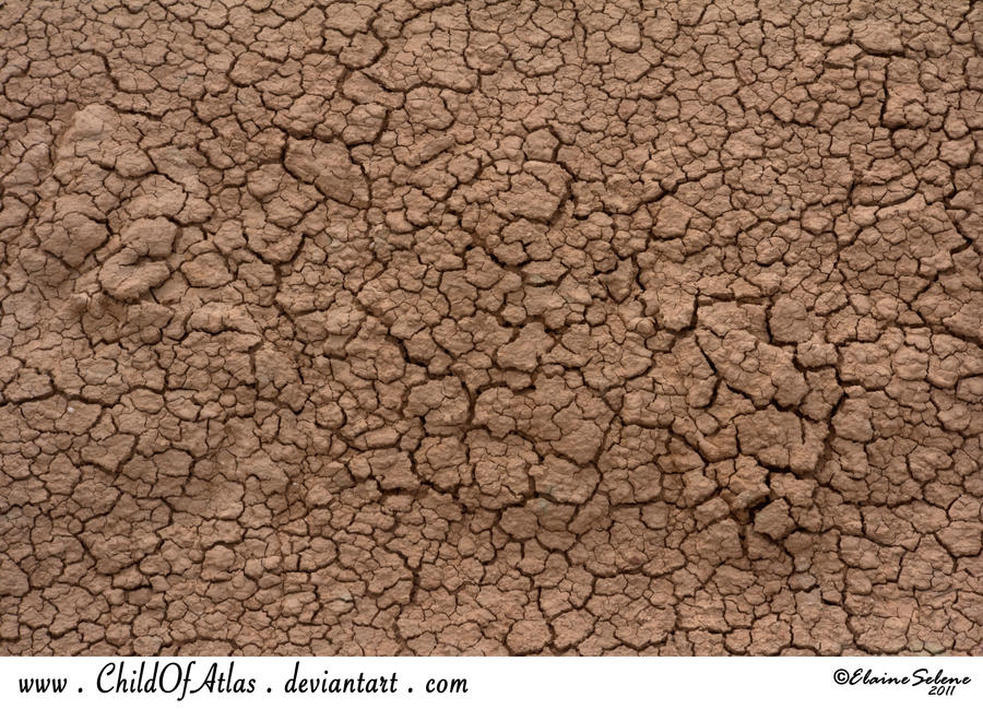 Cracked Dirt Texture - 2 by ElaineSeleneStock