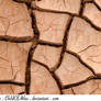 Cracked Dirt Texture - 3