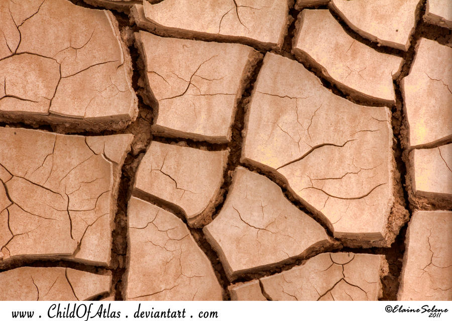 Cracked Dirt Texture - 3
