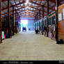 Stable Stock - 5