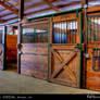 Stable Stock - 11