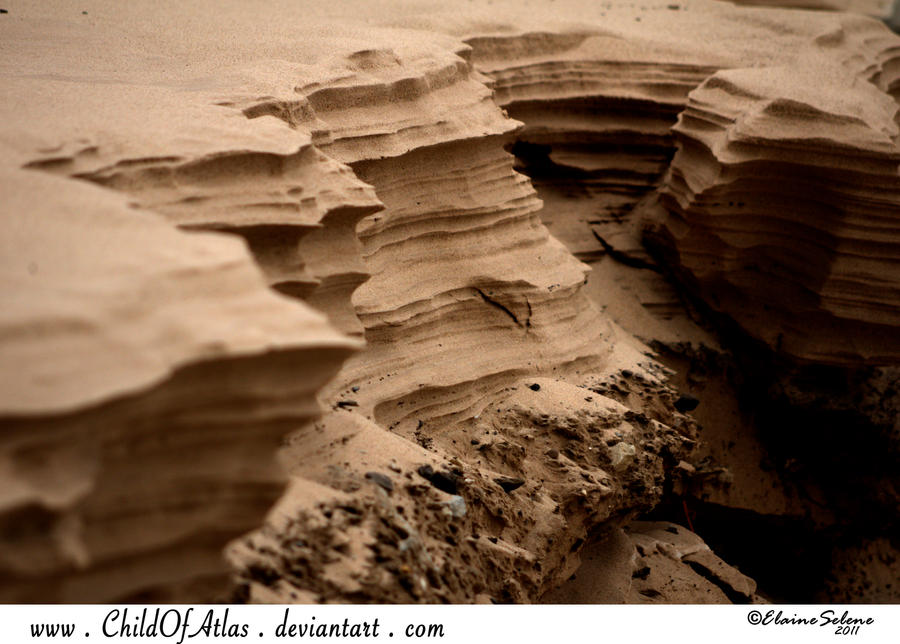 Indiana Dunes - 7