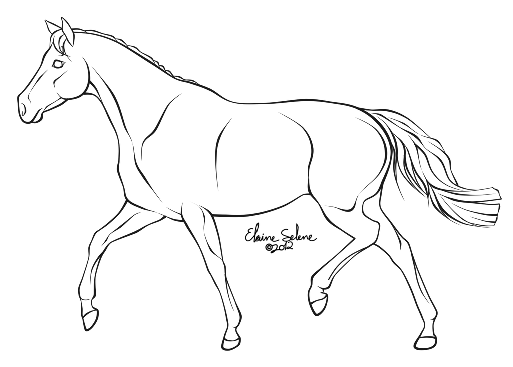 Trotting Horse