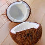 Coconut - 19