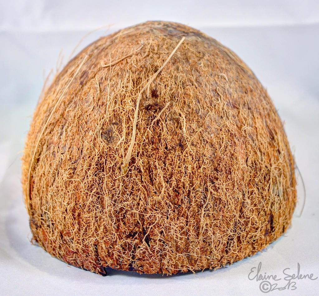 Coconut - 33