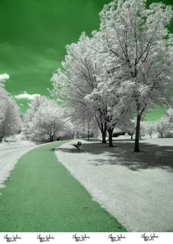 Infrared Stock - 2013 - 48