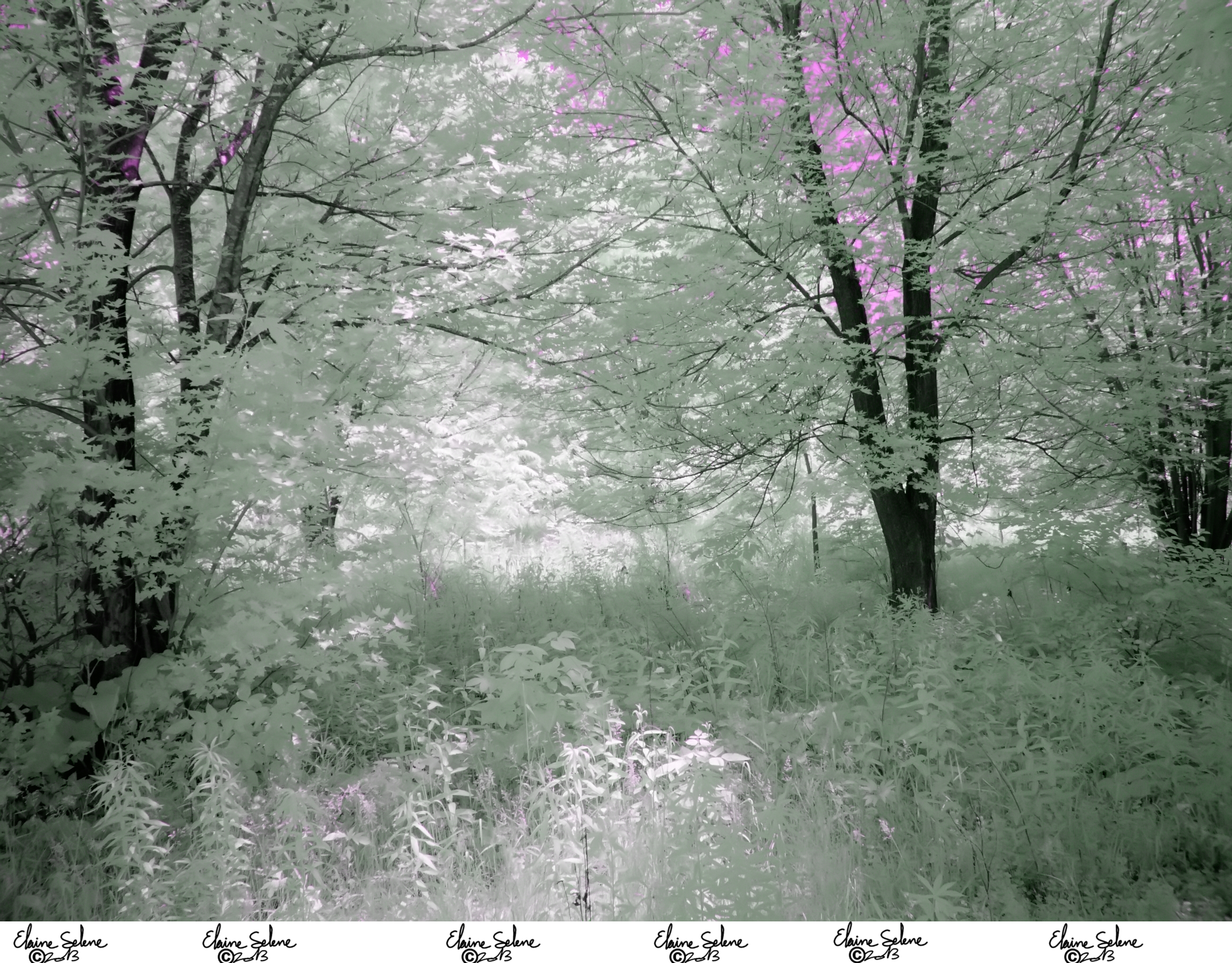 Infrared Stock - 2013 - 36