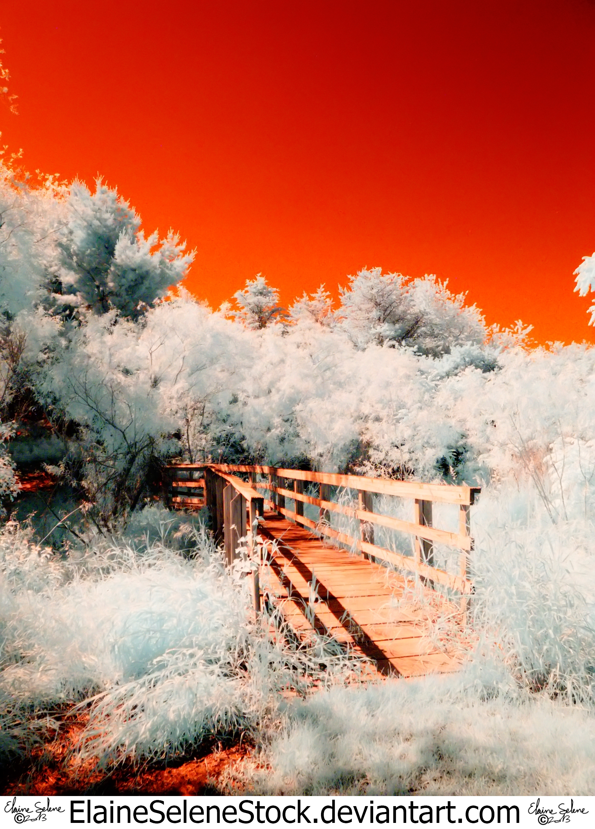 Infrared Stock - 2013 - 54