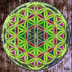 Flower of Life Fall Bamboo Leaves