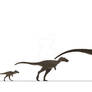 Gorgosaurus ontogeny (OUTDATED)