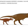 Carcharodontosaurus Ontogeny