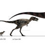 Gorgosaurus Ontogeny (Revised)