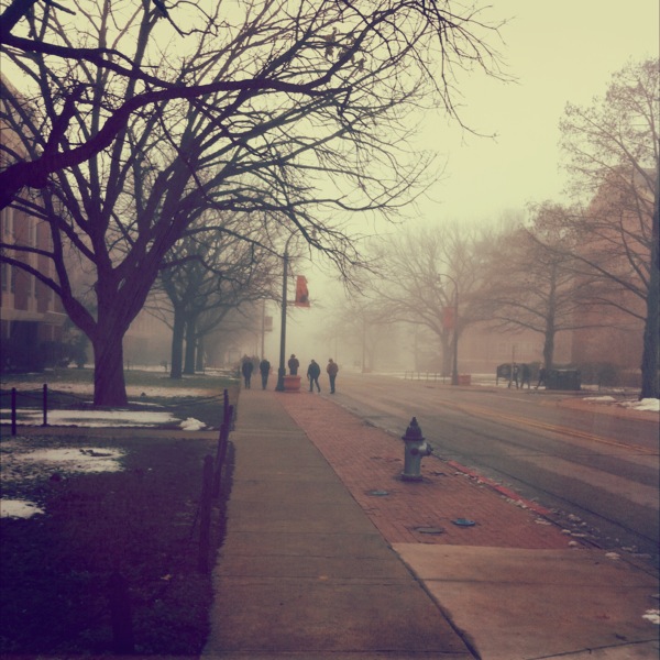 iPhone Snap: Students in the Mist