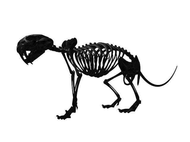 Skeleton Render by ant-worx on DeviantArt