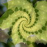 Fractal maple leaf