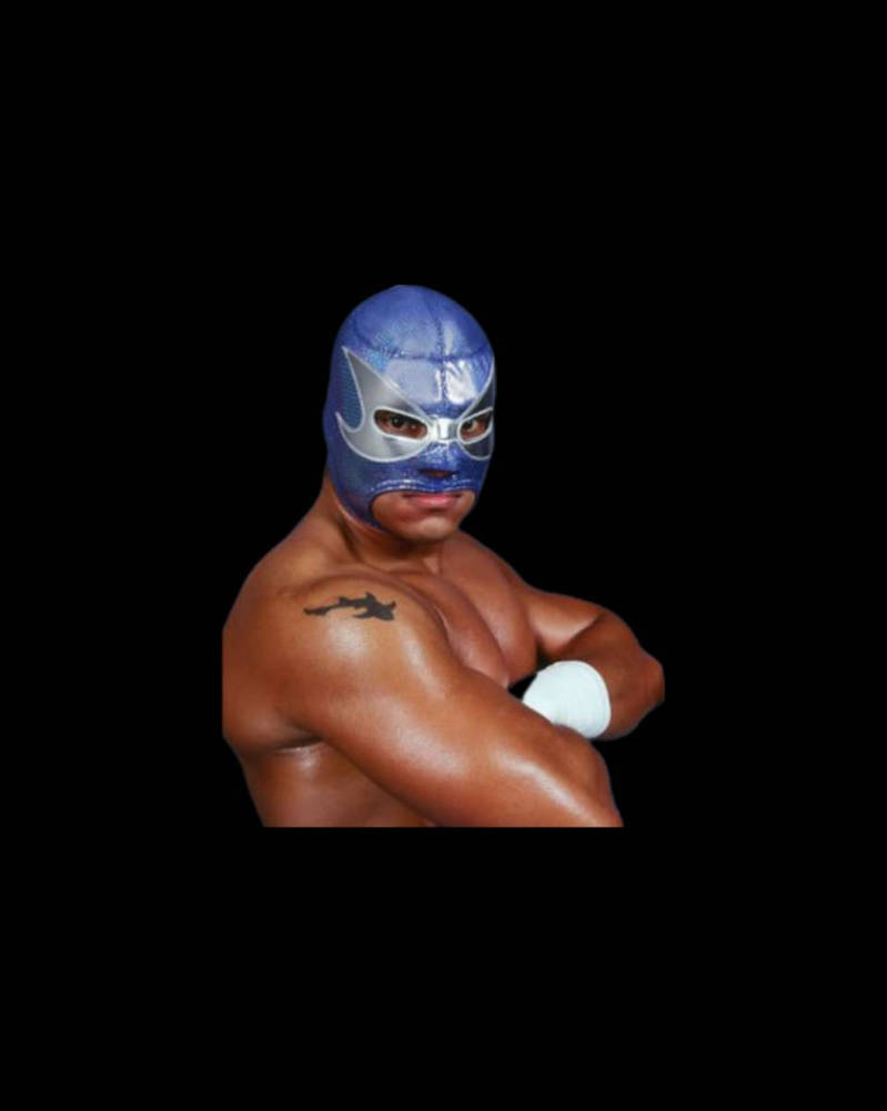 Lizmark by wildcharmander92 on DeviantArt