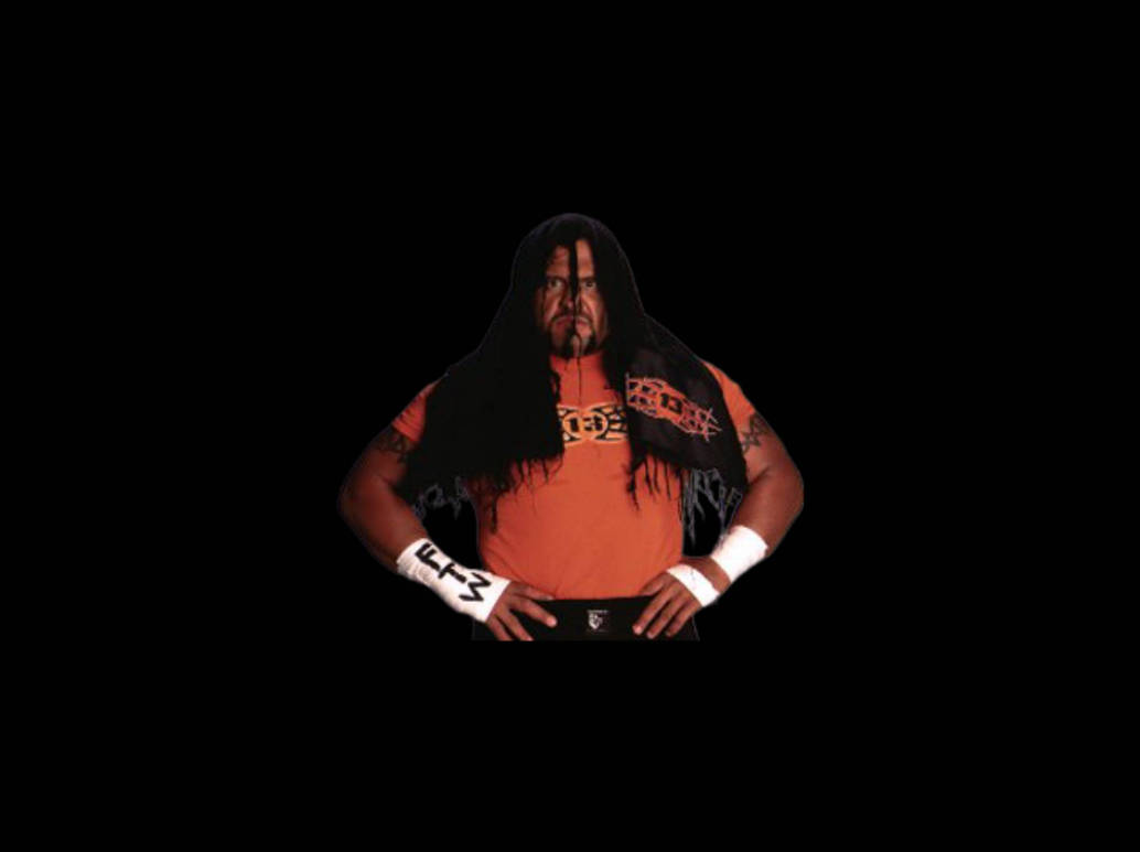 Tazz by wildcharmander92 on DeviantArt