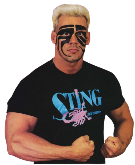 Sting by wildcharmander92 on DeviantArt