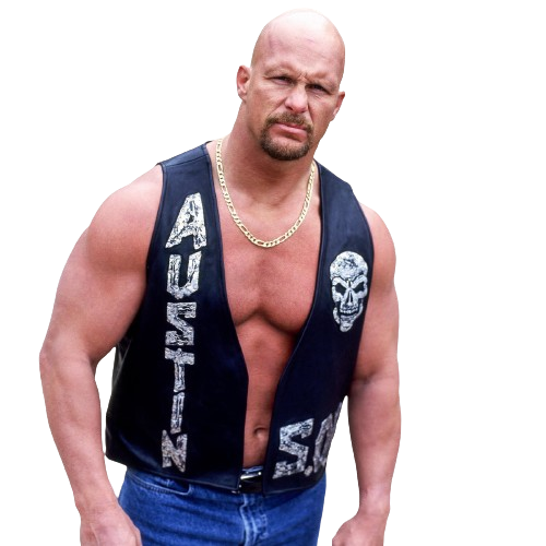 Stone Cold by wildcharmander92 on DeviantArt