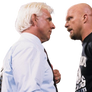 Ric Flair Steve Austin Stone Cold