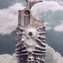 Observer