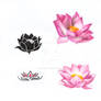 Lotus Tattoo