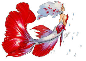 Betta Mermaid