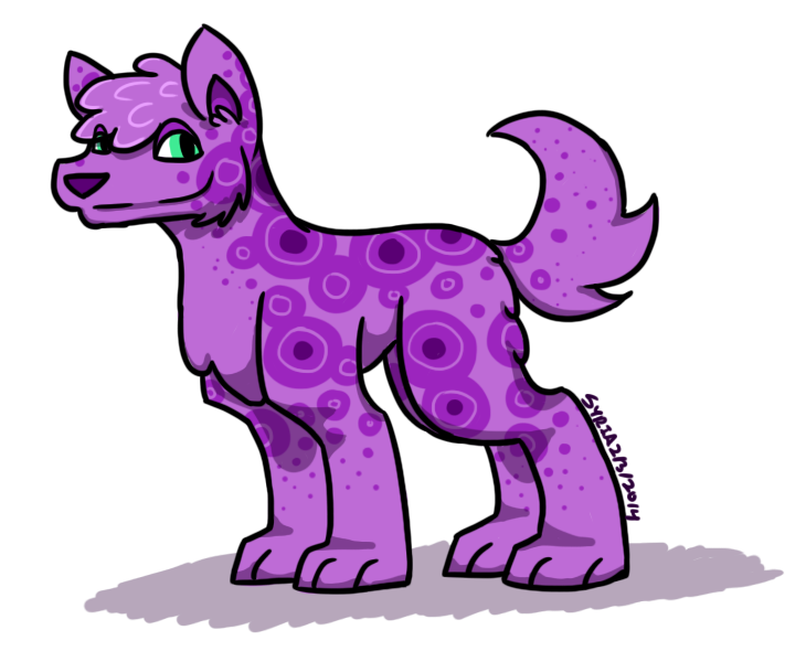 Purple Spot Wolf