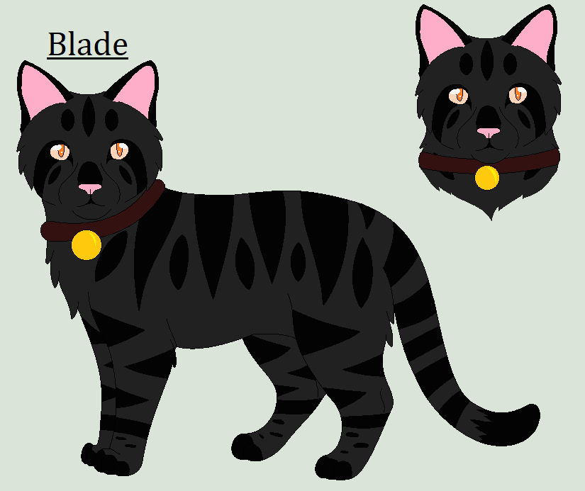 Blade by Hawkpath123 on DeviantArt