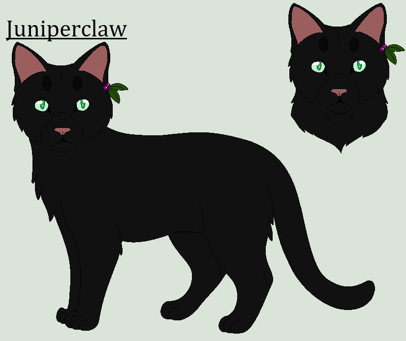 Juniperclaw Juniperclaw by Hawkpath123 on DeviantArt