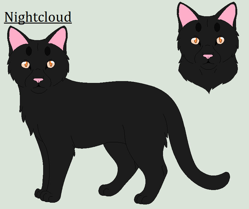 Nightcloud by Hawkpath123 on DeviantArt