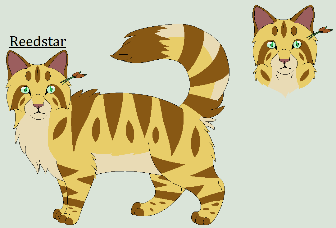 Deviantart Reedster Reedstar by Hawkpath123 on DeviantArt