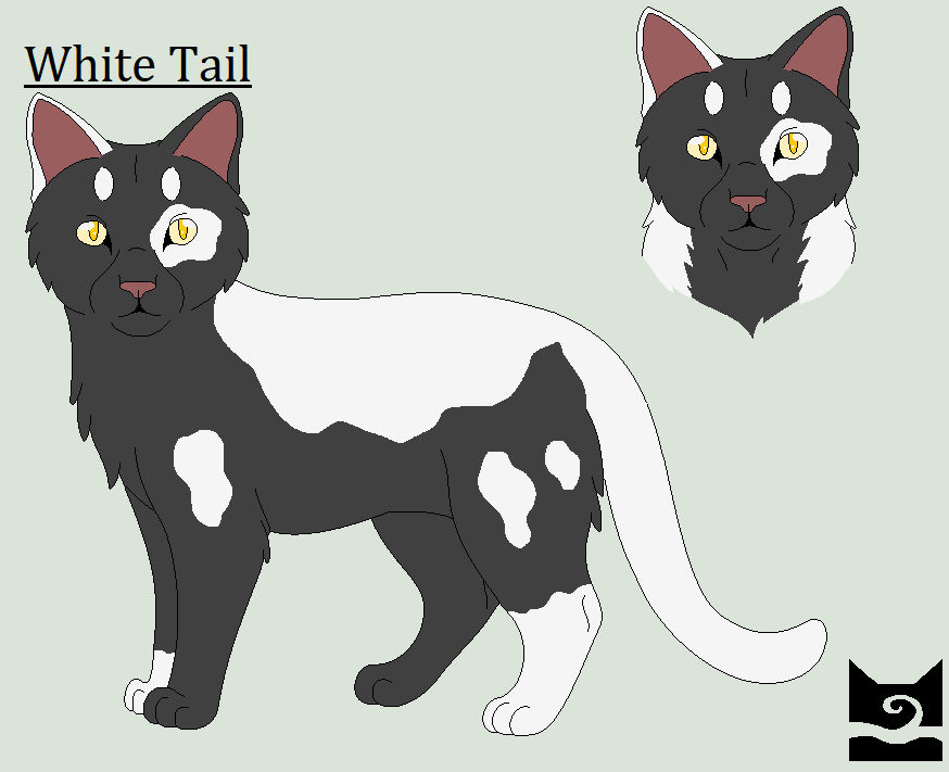 White Tail by Hawkpath123 on DeviantArt