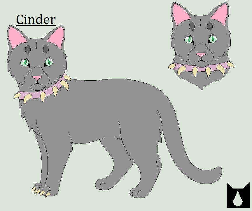 Cinder by Hawkpath123 on DeviantArt