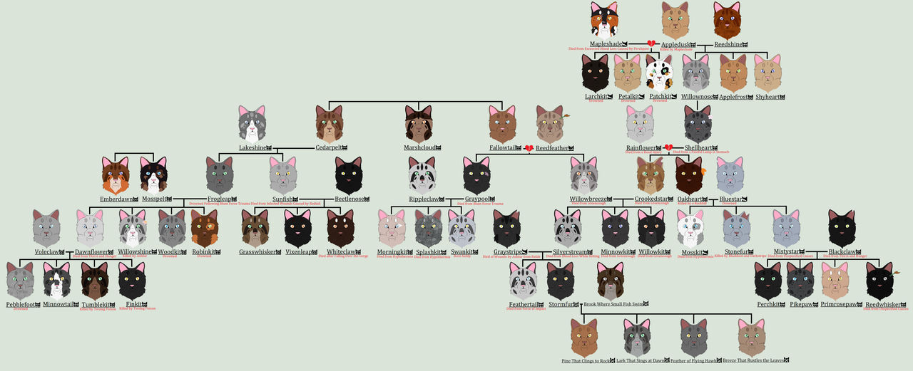 Warrior Cats Crookedstars Family Tree Silverstream Family Tree By warrior-cats-crookedstars-family-tree-silverstream-family-tree-by